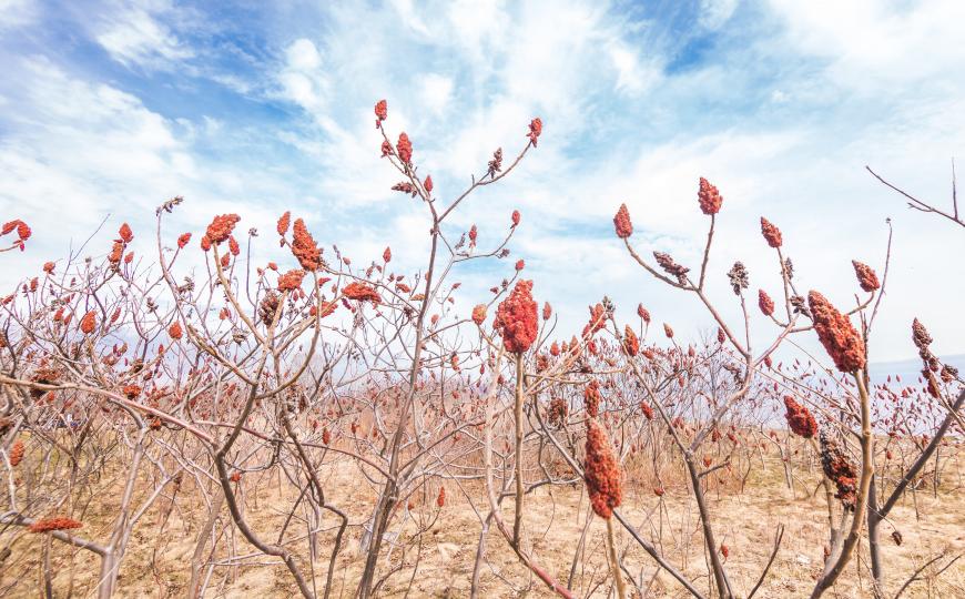 DOUCEUR ET ENVIRONNEMENT